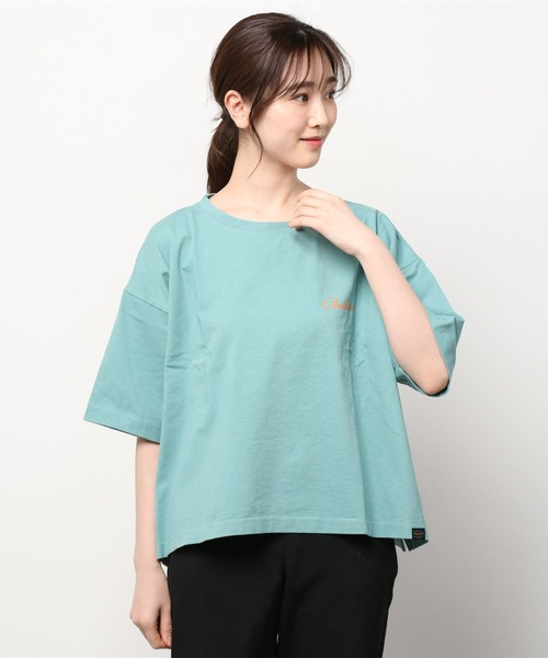 PENDLETON（ペンドルトン）の「PENDLETON/ペンドルトン　ショートレングスTEE　SHORT LENGTH TEE　2275-8111（Tシャツ/カットソー・レディース・オフホワイト/ミント/ライトベージュ・FREE）」の16枚目の写真