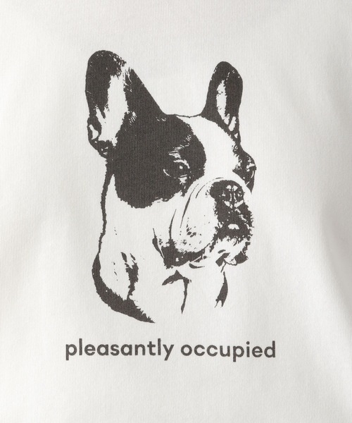 LEPSIM（レプシィム）の「アソートプリントロングTシャツ　164728（Tシャツ/カットソー・レディース・グレー/オフホワイト/ホワイト系その他・FREE）」の16枚目の写真