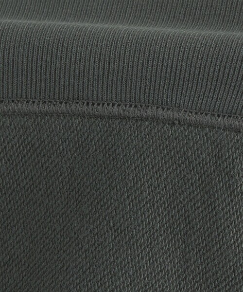 Champion(チャンピオン)の「【別注】<Champion>リバースウィーブ スウェット プルオーバー(スウェット・レディース・オレンジ/ブラック/グレー/ナチュラル・FREE)」の20枚目の写真