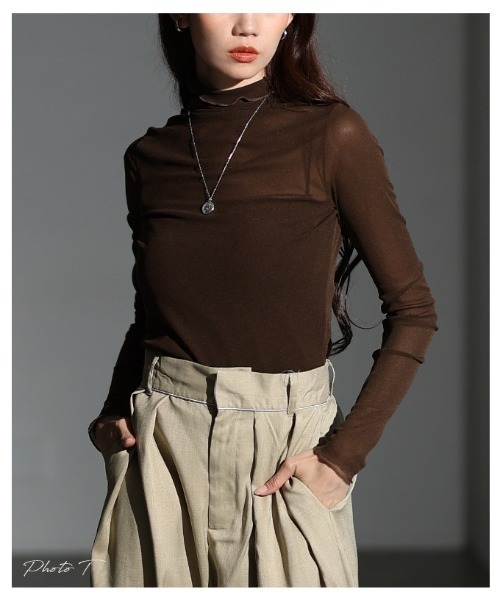 Sawa a la mode（サワアラモード）の「メッシュシアートップス（Tシャツ/カットソー・レディース・グレー/ブラック/ホワイト/ブラウン・FREE）」の5枚目の写真