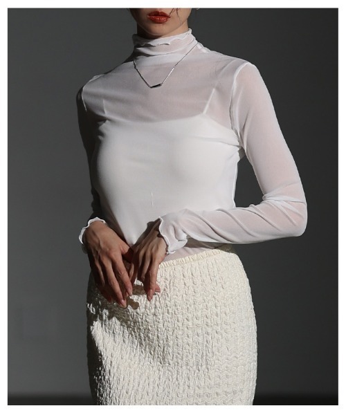 Sawa a la mode（サワアラモード）の「メッシュシアートップス（Tシャツ/カットソー・レディース・グレー/ブラック/ホワイト/ブラウン・FREE）」の12枚目の写真