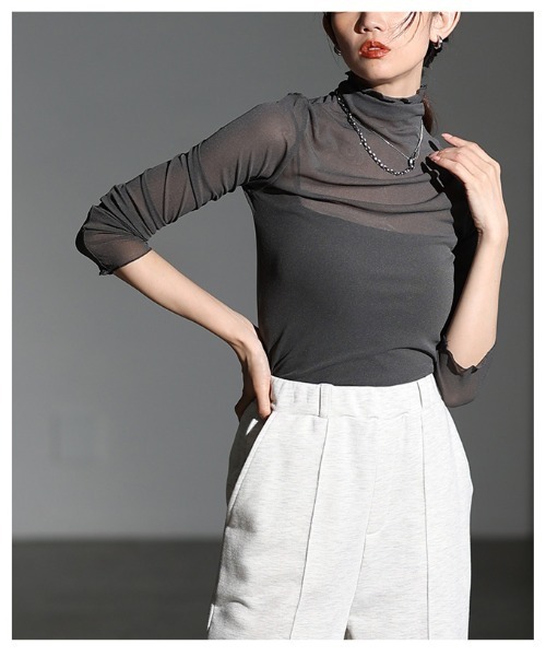 Sawa a la mode（サワアラモード）の「メッシュシアートップス（Tシャツ/カットソー・レディース・グレー/ブラック/ホワイト/ブラウン・FREE）」の17枚目の写真