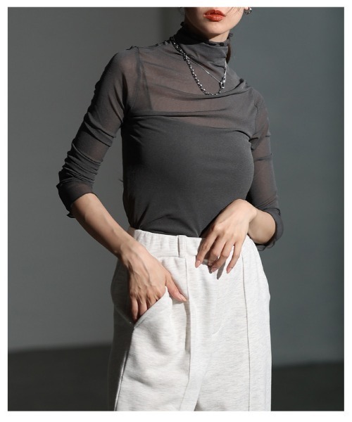 Sawa a la mode（サワアラモード）の「メッシュシアートップス（Tシャツ/カットソー・レディース・グレー/ブラック/ホワイト/ブラウン・FREE）」の19枚目の写真