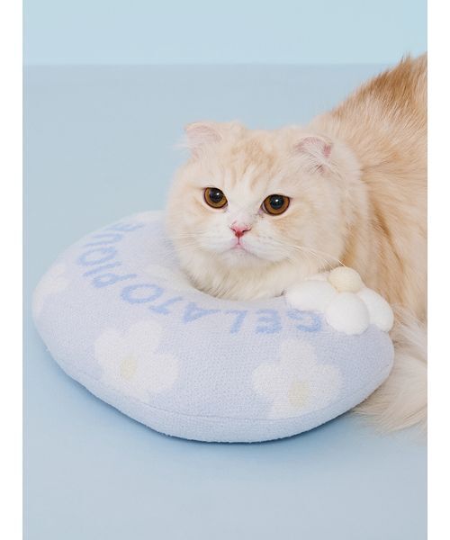 gelato pique（ジェラートピケ）の「【CAT&DOG】スムーズィーフラワーモチーフニットピロー（リード/ハーネス/首輪・レディース・ブルー/イエロー・F）」の2枚目の写真