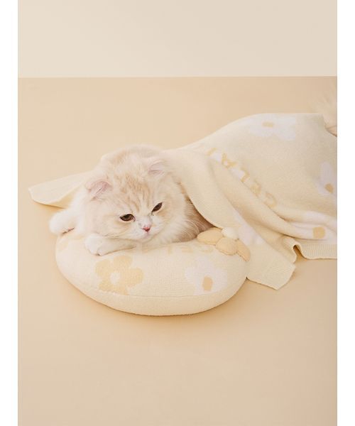 gelato pique（ジェラートピケ）の「【CAT&DOG】スムーズィーフラワーモチーフニットピロー（リード/ハーネス/首輪・レディース・ブルー/イエロー・F）」の6枚目の写真