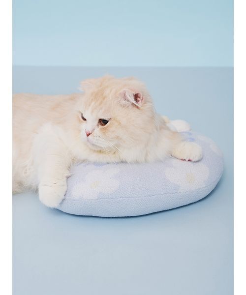 gelato pique（ジェラートピケ）の「【CAT&DOG】スムーズィーフラワーモチーフニットピロー（リード/ハーネス/首輪・レディース・ブルー/イエロー・F）」の7枚目の写真