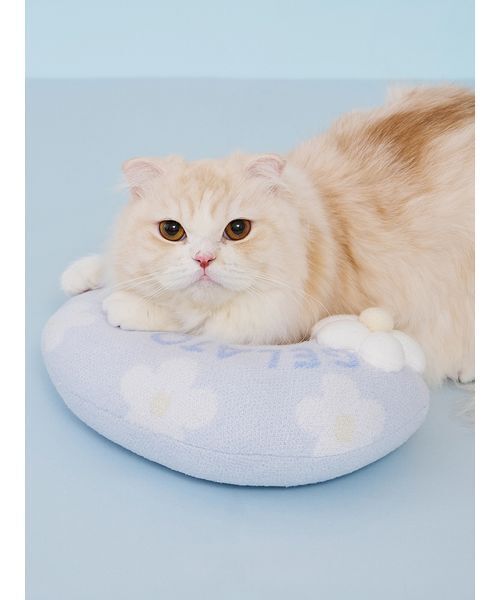 gelato pique（ジェラートピケ）の「【CAT&DOG】スムーズィーフラワーモチーフニットピロー（リード/ハーネス/首輪・レディース・ブルー/イエロー・F）」の8枚目の写真