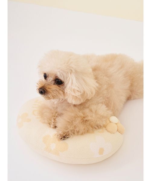gelato pique（ジェラートピケ）の「【CAT&DOG】スムーズィーフラワーモチーフニットピロー（リード/ハーネス/首輪・レディース・ブルー/イエロー・F）」の9枚目の写真