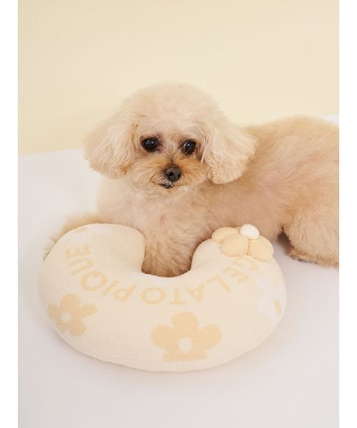 gelato pique（ジェラートピケ）の「【CAT&DOG】スムーズィーフラワーモチーフニットピロー（リード/ハーネス/首輪・レディース・ブルー/イエロー・F）」の10枚目の写真