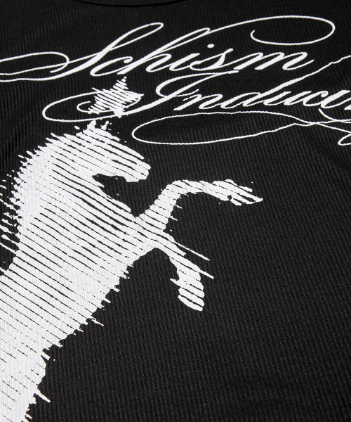 SCHISM INDUCING(スキズムインデューシング)の「HORSE FLARED SLEEVE TOP BLACK(Tシャツ/カットソー・レディース・その他・FREE)」の11枚目の写真