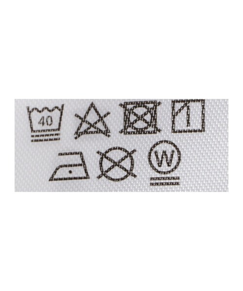 Ray BEAMS(レイビームス)の「JENNIE / Compact T-shirt(Tシャツ/カットソー・レディース・ホワイト/ホワイト系その他2・ONE SIZE)」の15枚目の写真