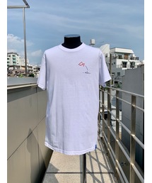 Little fish White