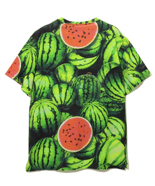 go slow caravan（ゴースローキャラバン）の「総柄図鑑TEE（Tシャツ/カットソー・メンズ・グリーン/ホワイト系その他/イエロー/ミント/ブラック/ベージュ系その他・MEDIUM/X-LARGE/LARGE）」の15枚目の写真