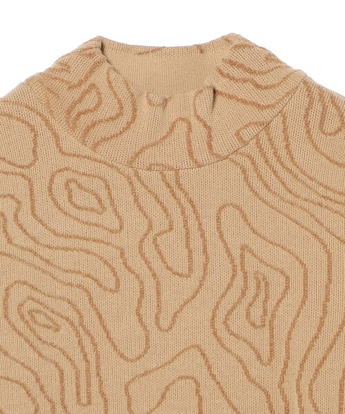 Ray BEAMS（レイビームス）の「Ray BEAMS / ライン ジャカード ハイネック ニット（ニット/セーター・レディース・ホワイト/ベージュ・ONE SIZE）」の14枚目の写真