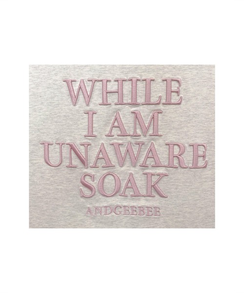 ANDGEEBEE（アンジービー）の「ロゴ刺繍ミニT（Tシャツ/カットソー・レディース・ホワイト/オートミール・MEDIUM）」の3枚目の写真