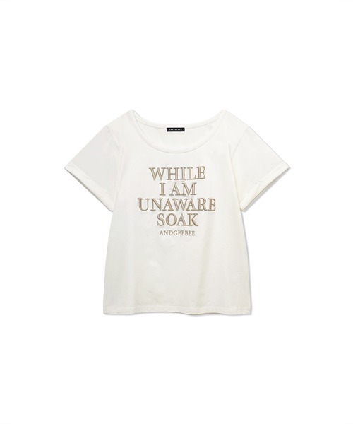 ANDGEEBEE（アンジービー）の「ロゴ刺繍ミニT（Tシャツ/カットソー・レディース・ホワイト/オートミール・MEDIUM）」の5枚目の写真