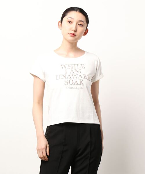 ANDGEEBEE（アンジービー）の「ロゴ刺繍ミニT（Tシャツ/カットソー・レディース・ホワイト/オートミール・MEDIUM）」の17枚目の写真