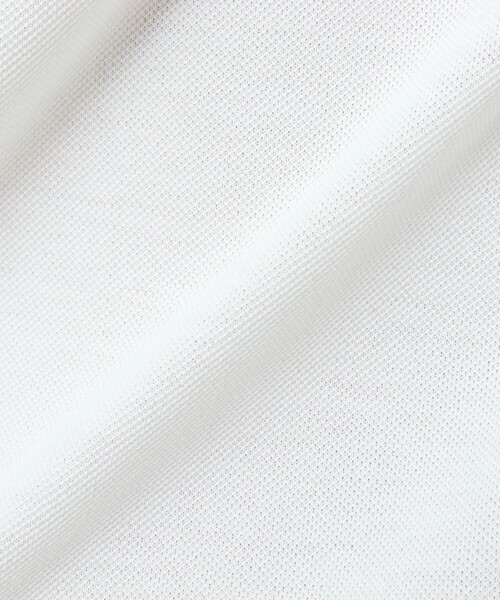 NOLLEY’S（ノーリーズ）の「《ビジカジ対応》吸水速乾 クジラBDポロシャツ（ポロシャツ・メンズ・ネイビー/グレー/ライトブルー/ホワイト/イエロー・M/L/XL/S）」の16枚目の写真