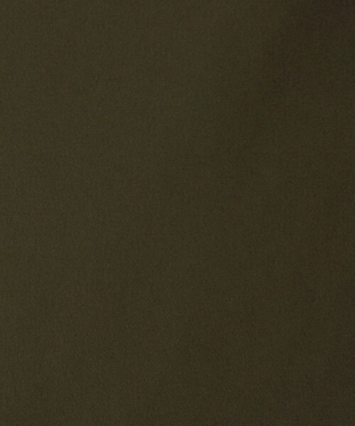 WOOLRICH(ウールリッチ)の「● WOOLRICH ストレッチナイロン ダウンジャケット(ダウンジャケット/コート・メンズ・ネイビー/ダークグリーン・M/L/S)」の16枚目の写真