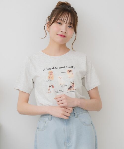 tシャツ MICRO TEE レディース ビッグロゴ クロップTシャツ / REEBOK IDENTITY BIG LOGO CROP