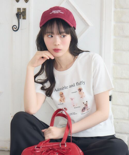 セール】dogプリントTEE（Tシャツ/カットソー）｜ems excite