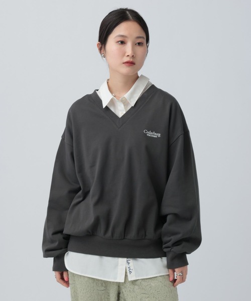 LEPSIM（レプシィム）の「Vネックアソート刺繍プルオーバー　639525（Tシャツ/カットソー・レディース・オフホワイト/チャコールグレー/ライトブルー・FREE）」の3枚目の写真