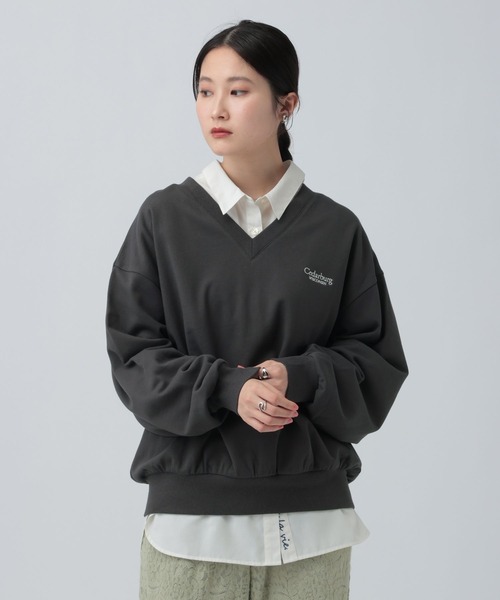 LEPSIM（レプシィム）の「Vネックアソート刺繍プルオーバー　639525（Tシャツ/カットソー・レディース・オフホワイト/チャコールグレー/ライトブルー・FREE）」の8枚目の写真