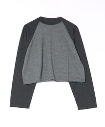 alvana | 〈別注〉ウールTシャツ