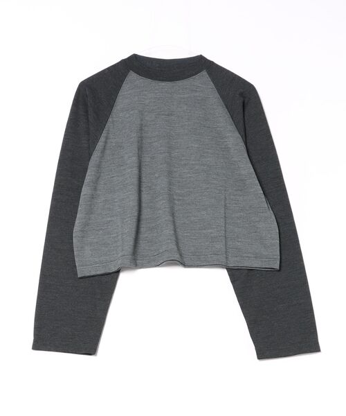alvana（アルヴァナ）の「alvana | 〈別注〉ウールTシャツ（Tシャツ/カットソー・レディース・グレー系その他/ホワイト系その他5/ブルー系その他・ONE）」の2枚目の写真