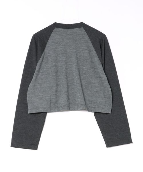 alvana（アルヴァナ）の「alvana | 〈別注〉ウールTシャツ（Tシャツ/カットソー・レディース・グレー系その他/ホワイト系その他5/ブルー系その他・ONE）」の4枚目の写真
