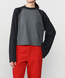 alvana（アルヴァナ）の「alvana |〈別注〉ウール天竺 ベースボールTシャツ WOMEN（Tシャツ/カットソー）」