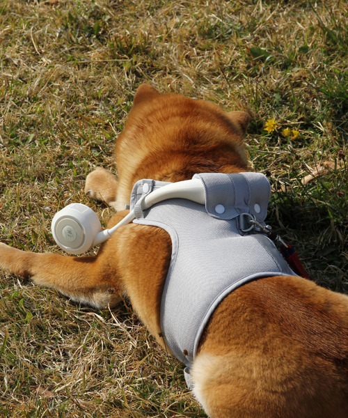 SPICE OF LIFE（スパイス オブ ライフ）の「【在庫限り】ドッグウェア＆ハンズフリー扇風機セット(シロッコファン) Mサイズ/Lサイズ（ペットウェア・レディース・グレー系その他/オレンジ系その他/グレー系その他2/オレンジ系その他2・M/L）」の17枚目の写真