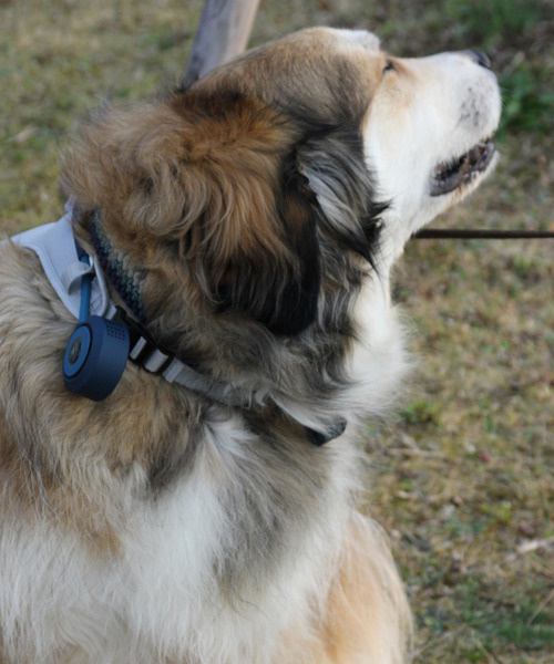 SPICE OF LIFE（スパイス オブ ライフ）の「【在庫限り】ドッグウェア＆ハンズフリー扇風機セット(シロッコファン) Mサイズ/Lサイズ（ペットウェア・レディース・グレー系その他/オレンジ系その他/グレー系その他2/オレンジ系その他2・M/L）」の9枚目の写真