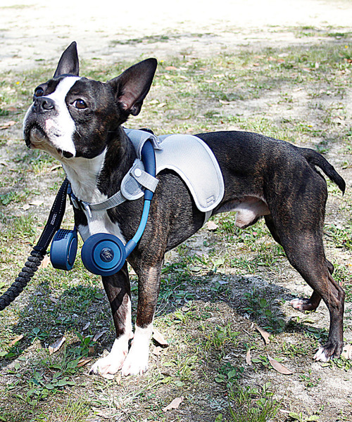 SPICE OF LIFE（スパイス オブ ライフ）の「【在庫限り】ドッグウェア＆ハンズフリー扇風機セット(シロッコファン) Mサイズ/Lサイズ（ペットウェア・レディース・グレー系その他/オレンジ系その他/グレー系その他2/オレンジ系その他2・M/L）」の18枚目の写真