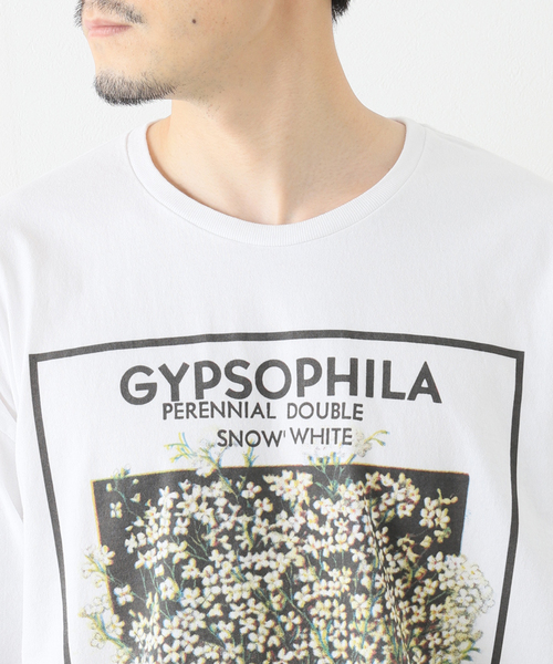 niche.（ニッチ）の「【niche.USA / ニッチ】 Flower Seeds T-Shirts（Tシャツ/カットソー・メンズ・ホワイト/ラベンダー/ブルー・MEDIUM/LARGE/X-LARGE）」の8枚目の写真