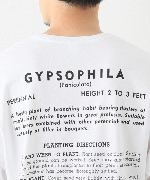 niche.（ニッチ）の「【niche.USA / ニッチ】 Flower Seeds T-Shirts（Tシャツ/カットソー・メンズ・ホワイト/ラベンダー/ブルー・MEDIUM/LARGE/X-LARGE）」の9枚目の写真