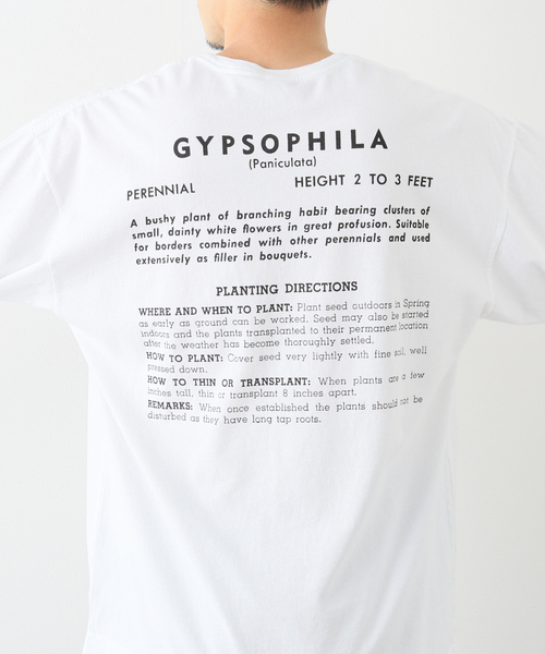 niche.（ニッチ）の「【niche.USA / ニッチ】 Flower Seeds T-Shirts（Tシャツ/カットソー・メンズ・ホワイト/ラベンダー/ブルー・MEDIUM/LARGE/X-LARGE）」の15枚目の写真