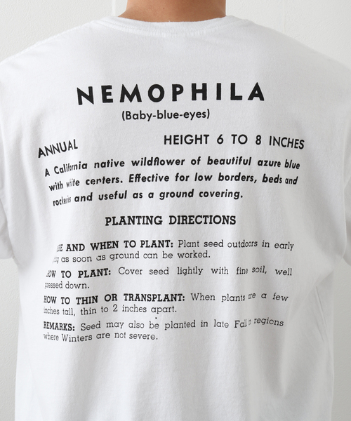 niche.（ニッチ）の「【niche.USA / ニッチ】 Flower Seeds T-Shirts（Tシャツ/カットソー・メンズ・ホワイト/ラベンダー/ブルー・MEDIUM/LARGE/X-LARGE）」の16枚目の写真