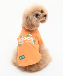 LOGOS(���S�X)��LOGOS/�o�[�h���ST(�y�b�g�E�F�A)