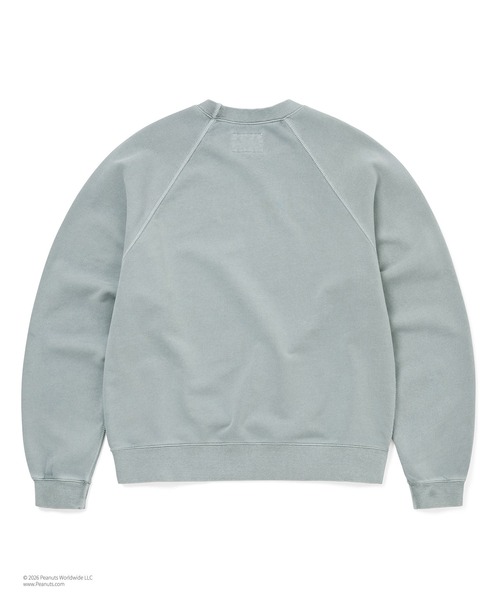 thisisneverthat(ディスイズネバーザット)の「TNT PEANUTS Faded Crewneck(スウェット・メンズ・ブルーグレー/チャコール・XL/L/M/S)」の6枚目の写真