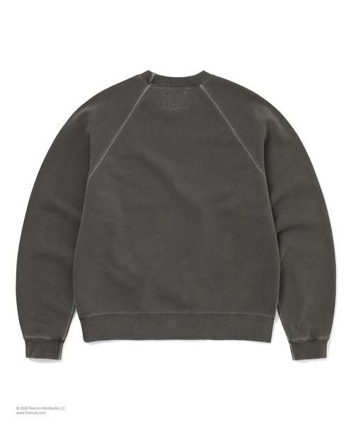 thisisneverthat(ディスイズネバーザット)の「TNT PEANUTS Faded Crewneck(スウェット・メンズ・ブルーグレー/チャコール・XL/L/M/S)」の4枚目の写真