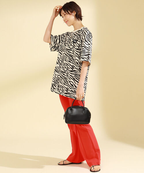 Ray BEAMS（レイビームス）の「【WEB限定】VANS / ANIMAL TEE（Tシャツ/カットソー・レディース・ゼブラ・X-SMALL）」の3枚目の写真