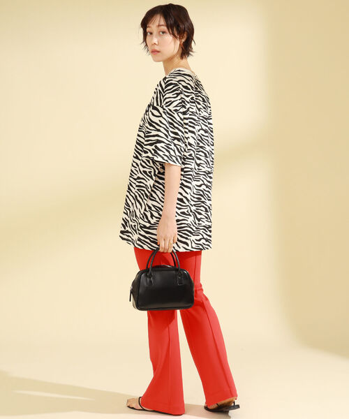 Ray BEAMS（レイビームス）の「【WEB限定】VANS / ANIMAL TEE（Tシャツ/カットソー・レディース・ゼブラ・X-SMALL）」の4枚目の写真