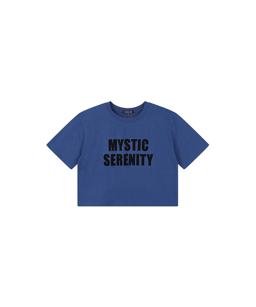 LAP(ラップ)の「フロッピー ルーズフィット クロップ 半袖Tシャツ AS2CT463(Tシャツ/カットソー・レディース・ホワイト/ブルー・FREE)」の1枚目の写真