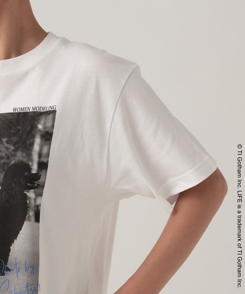 Elura(エルーラ)の「≪GOOD ROCK SPEED/グッドロックスピード≫ DOGプリントTシャツ/1057136(Tシャツ/カットソー・レディース・ホワイト/チャコールグレー・FREE)」の16枚目の写真