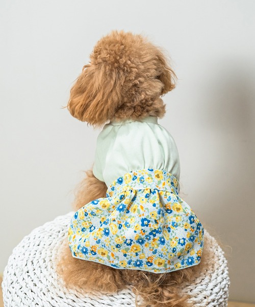Toyome(トヨミー)の「【飼い主と犬服のペアルックセット】ビビットカラーTシャツ×花柄スカートワンピース(ペットウェア・レディース・ライトピンク/オレンジ/グリーン/ピンク/ブルー・L/M/SS/S/XXS)」の12枚目の写真