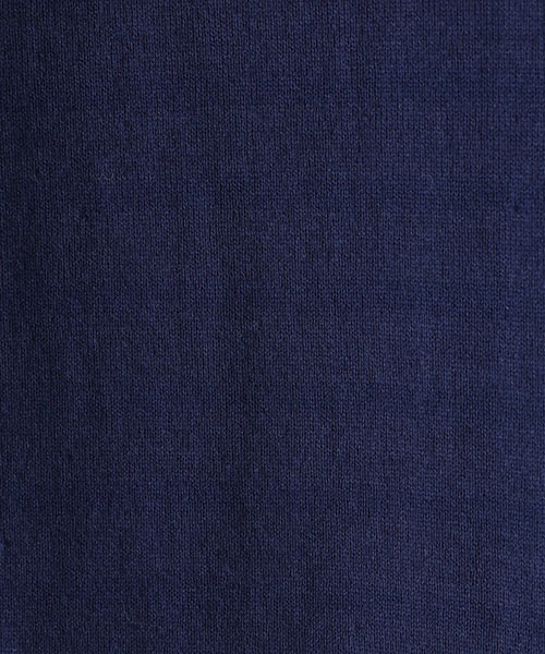 GOLD（ゴールド）の「東洋エンタープライズ GOLD / ゴールド：ORGANIC COTTON BORDER L/S T-SHIRT：23A-GL69101[MUS]（Tシャツ/カットソー・メンズ・ベージュ系その他/ブルー系その他・L/M/XL）」の4枚目の写真