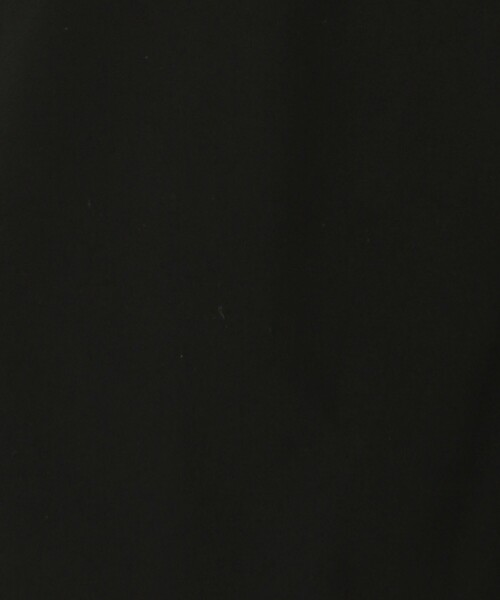 JAMES PERSE（ジェームスパース）の「YOSEMITE スキューバ ジップポケット ボードショーツ MAO4171AU（その他パンツ・メンズ・カーキ/ブラック・34/32/30/28）」の14枚目の写真