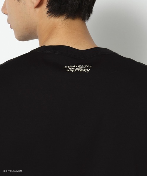 GLOBAL WORK(グローバルワーク)の「【SATELLITE CRAYON PROJECT】カラーTEE半袖/647375(Tシャツ/カットソー・メンズ・サックスブルー/ライトピンク/ブラック・LARGE/SMALL/MEDIUM)」の11枚目の写真