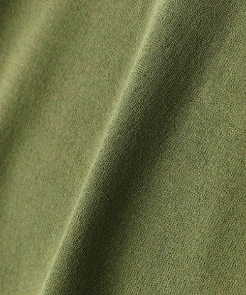 N.(N. Natural Beauty Basic)(エヌエヌナチュラルビューティーベーシック)の「◆バックボタンスリットニット(ニット/セーター・レディース・ブラウン/クリーム/グリーン・MEDIUM)」の14枚目の写真